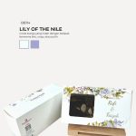 Brownies Almond In Bertha Box - Lily Of The Nile