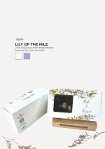 Brownies Almond In Bertha Box - Lily Of The Nile