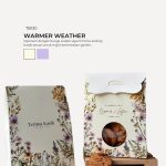 Chip Cookies 8pcs In Turin Box - Warmer Weather