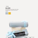 Praline Chocolate in Cabana Box- Silver