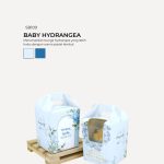 Muffin Choc Chip In Savonnah Box - Baby Hydrangea