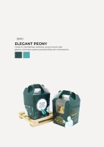 Muffin Choc Chip In Savonnah Box - Elegant Peony
