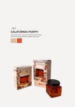 Honey Square Jar In Zundert Box - California Poppy